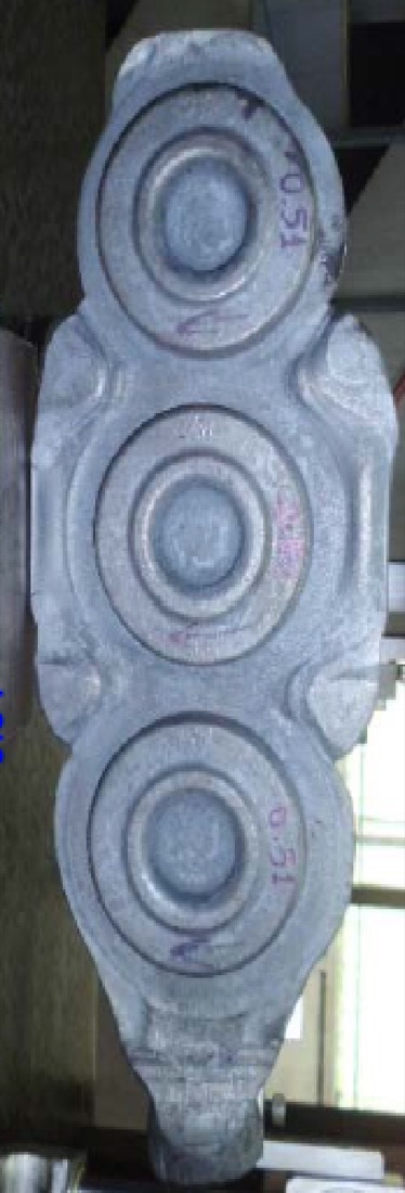 Forged multi-cavity blank